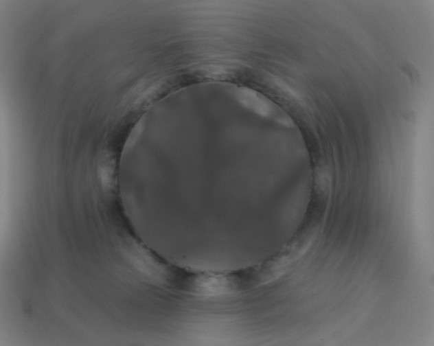 X0000113550181200910091311