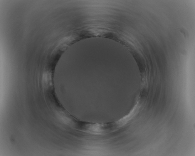 X0000113550182200910091311