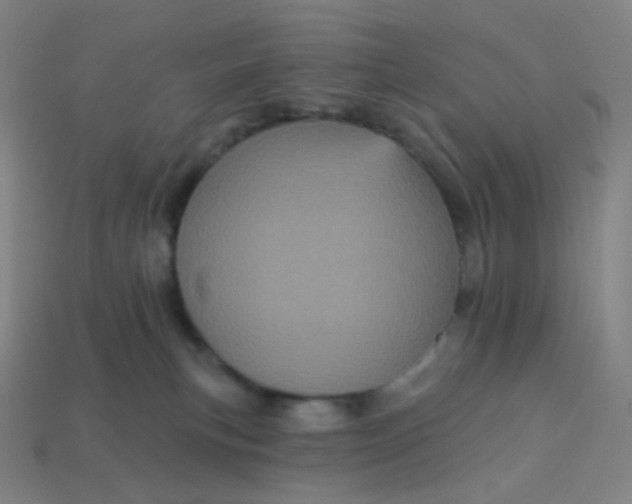 X0000113550183200910091311