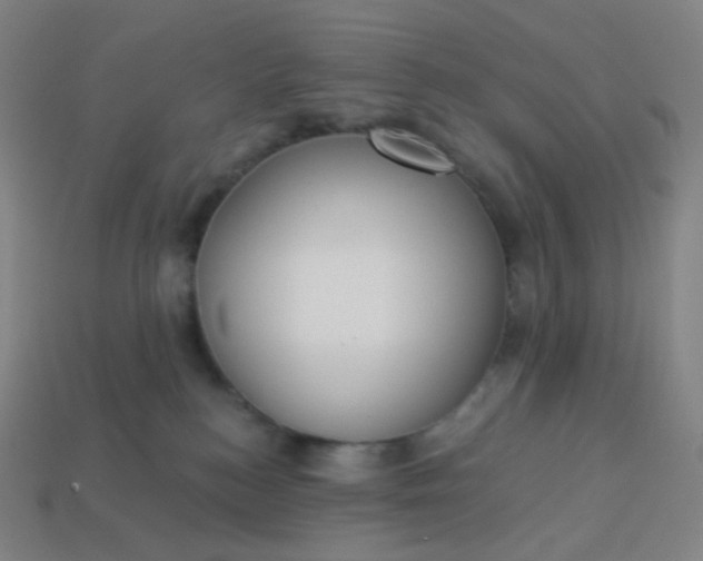 X0000113550184200910091311