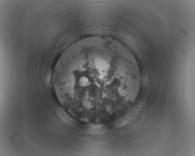 X0000113550185200910091311