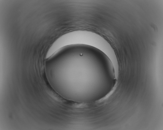 X0000113550186200910091311