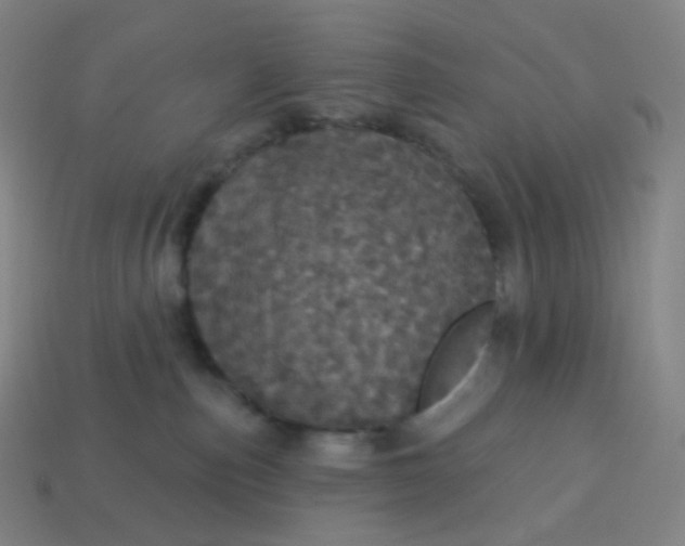X0000113550187200910091311