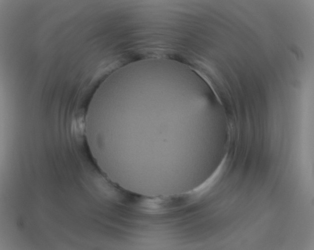 X0000113550190200910091311