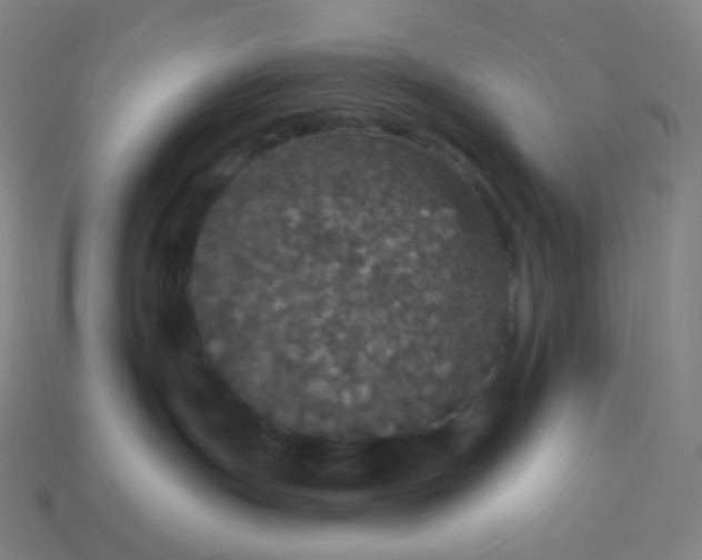 X0000113550191200910091311