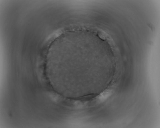 X0000113550192200910091312