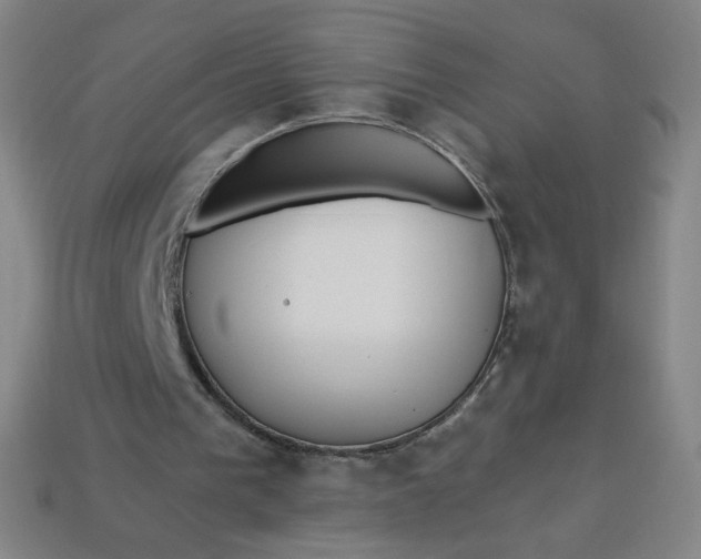 X0000113550193200910091311