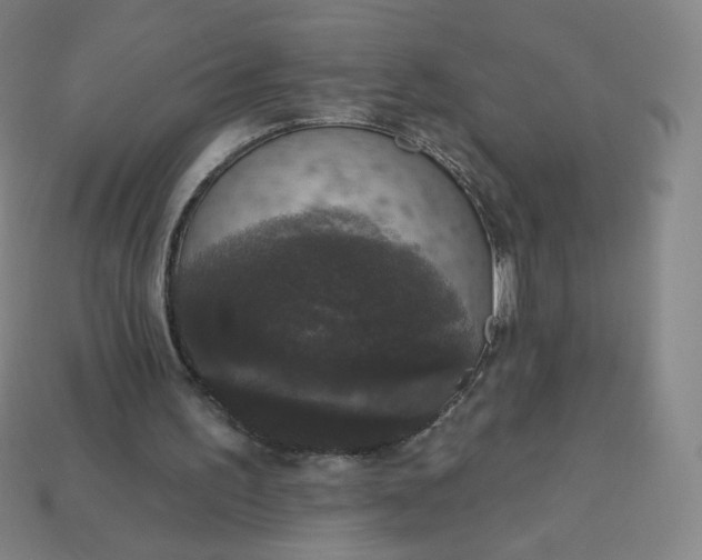 X0000113550195200910091311