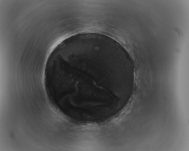 X0000113550196200910091311