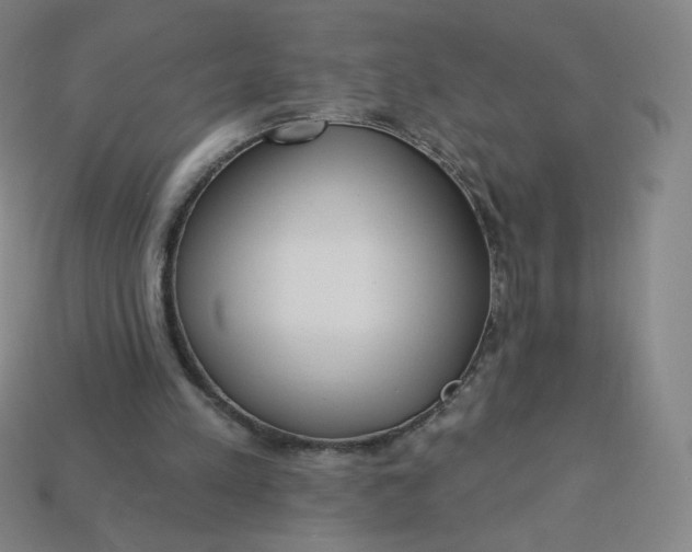 X0000113550197200910091311