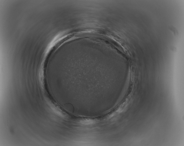 X0000113550198200910091311