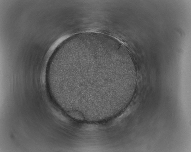 X0000113550200200910091311