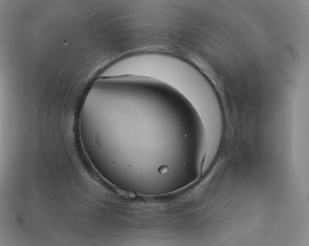 X0000113550201200910091311