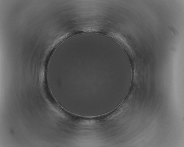 X0000113550202200910091311