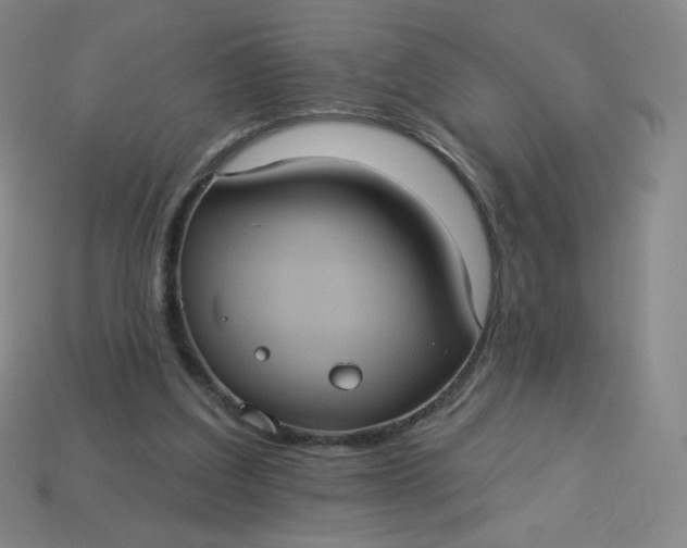 X0000113550203200910091311