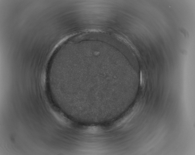 X0000113550204200910091311