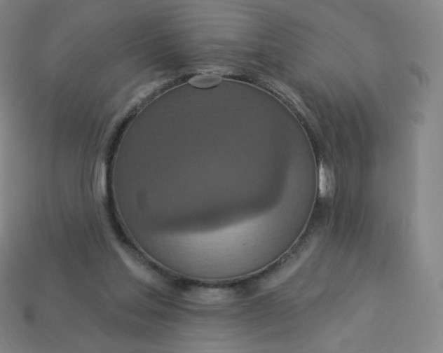 X0000113550205200910091311