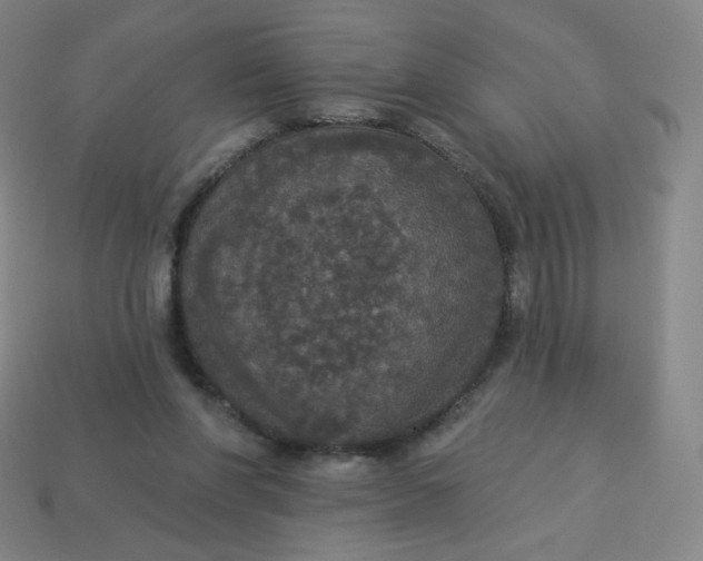 X0000113550206200910091311