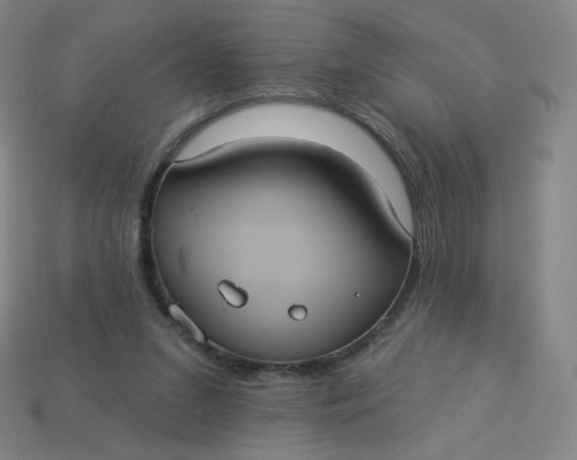 X0000113550207200910091311