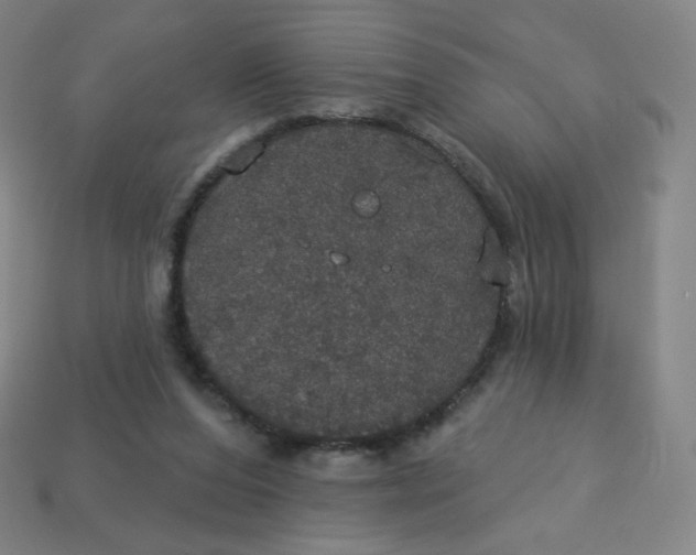 X0000113550208200910091311