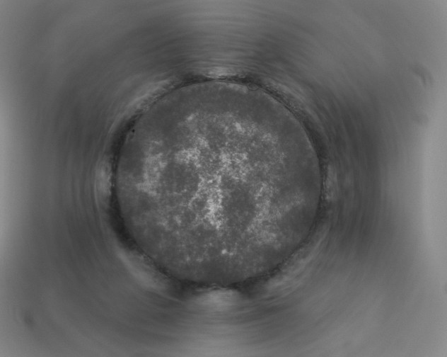 X0000113550210200910091310