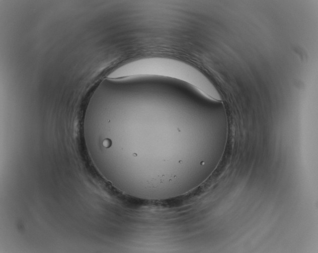 X0000113550211200910091310
