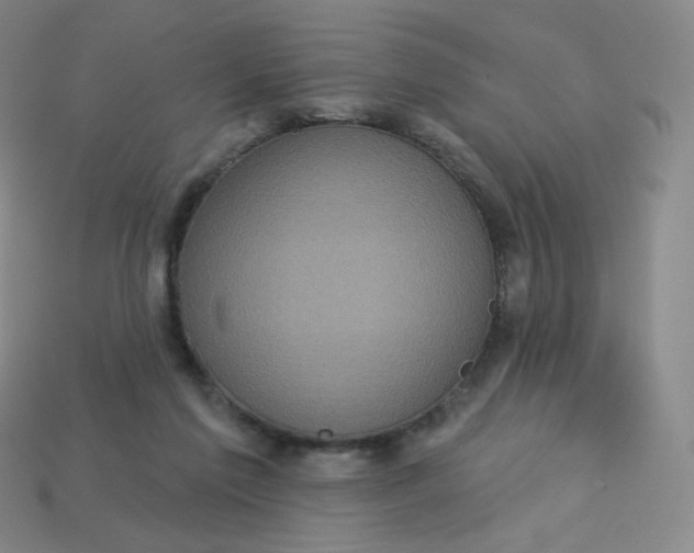 X0000113550213200910091310