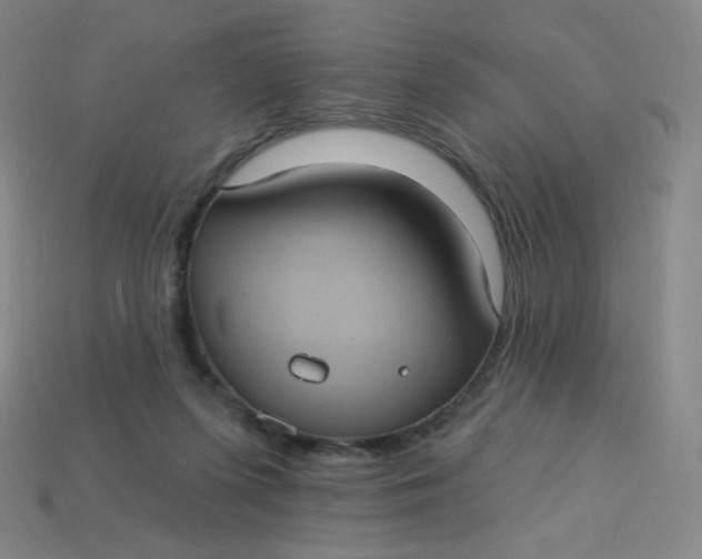 X0000113550215200910091310