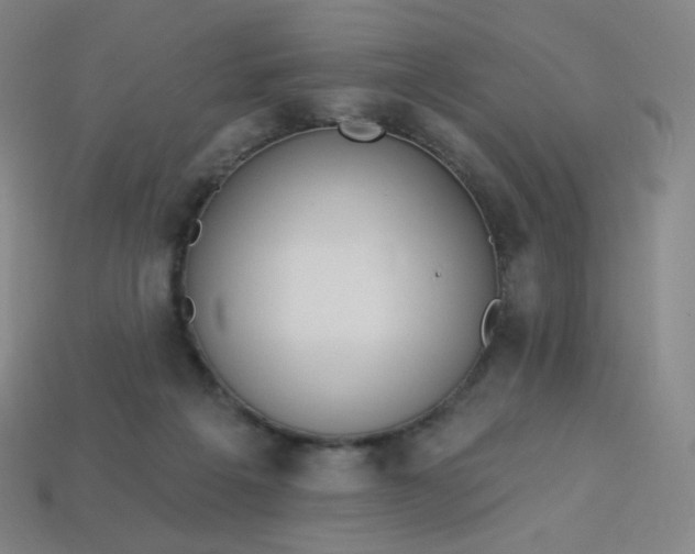 X0000113550217200910091310
