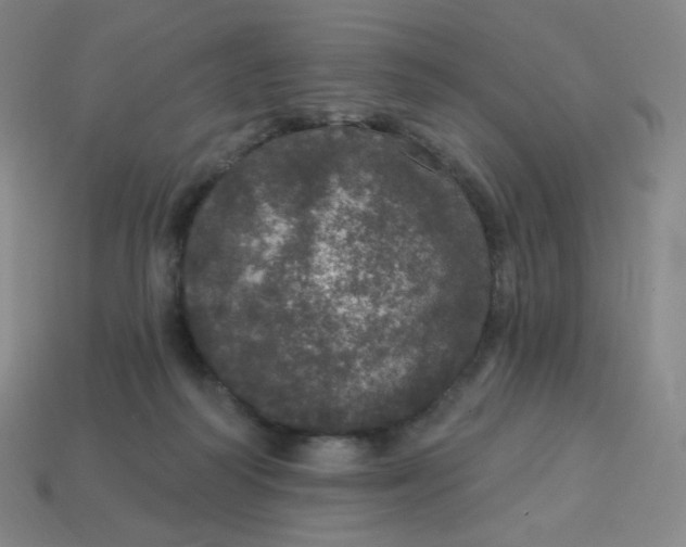 X0000113550218200910091310