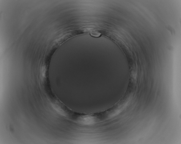X0000113550219200910091310