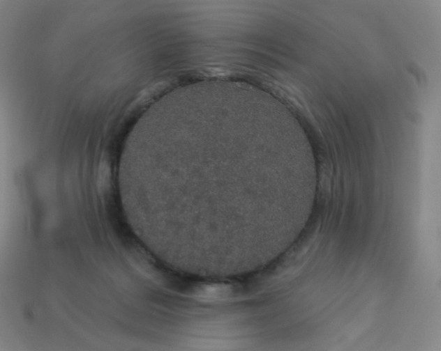 X0000113550220200910091310