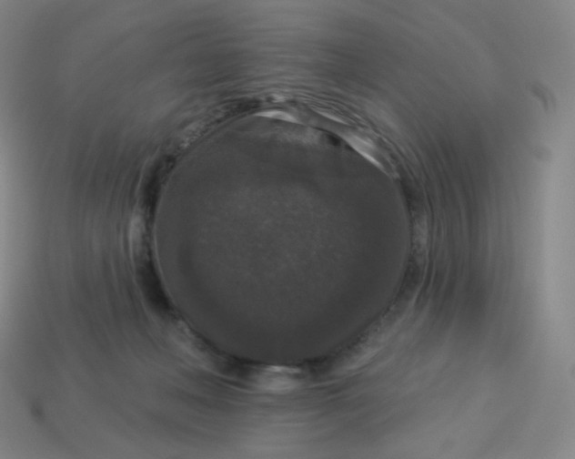 X0000113550222200910091310