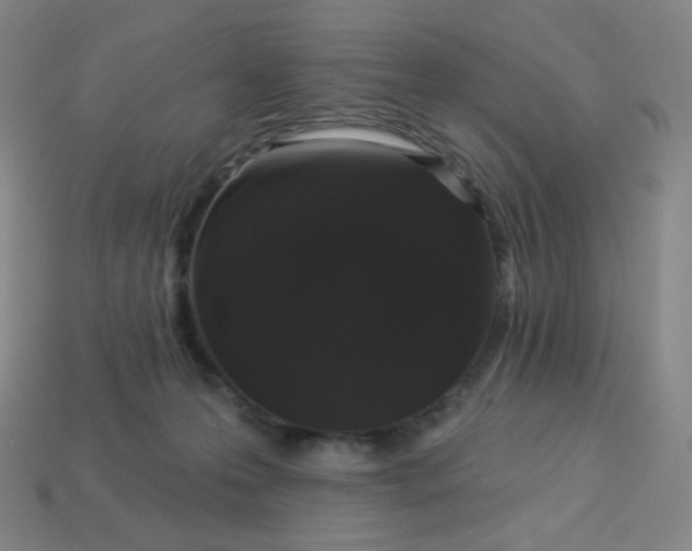 X0000113550223200910091310
