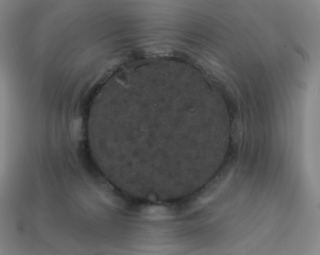 X0000113550224200910091310