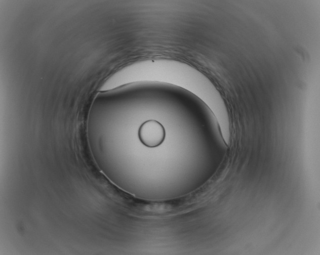 X0000113550225200910091310
