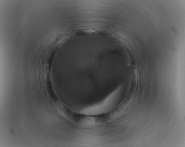 X0000113550227200910091310