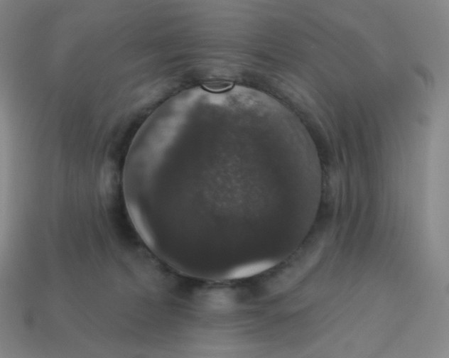X0000113550228200910091310