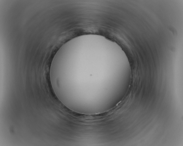 X0000113550229200910091310