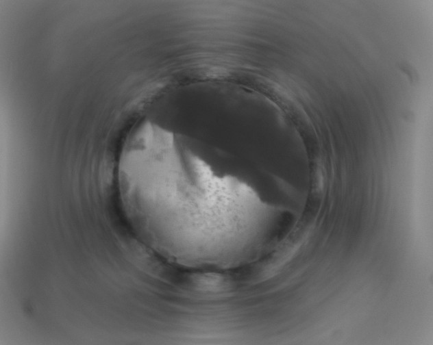 X0000113550230200910091310
