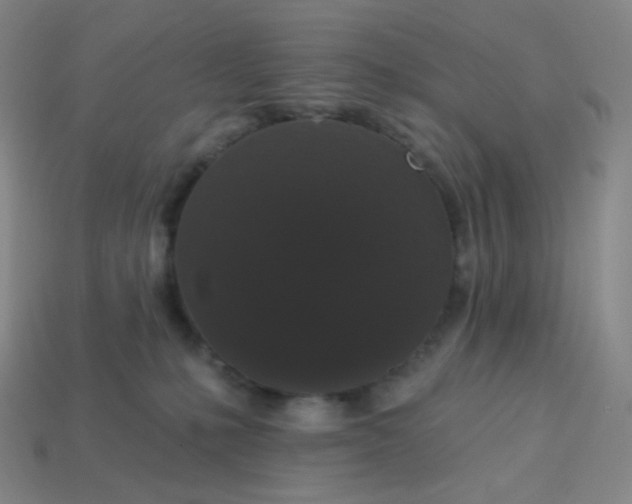 X0000113550231200910091310