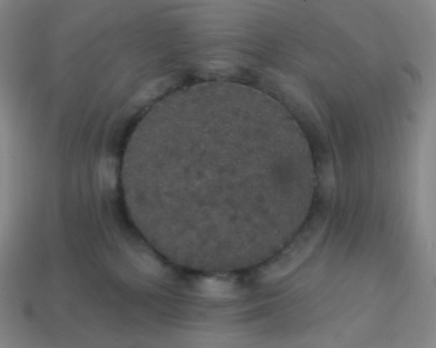 X0000113550232200910091310