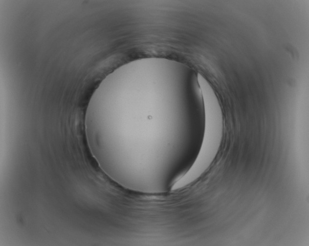X0000113550233200910091310
