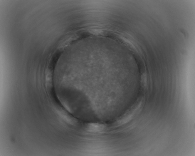 X0000113550234200910091310