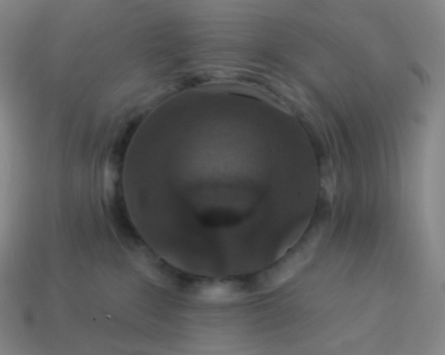 X0000113550235200910091310