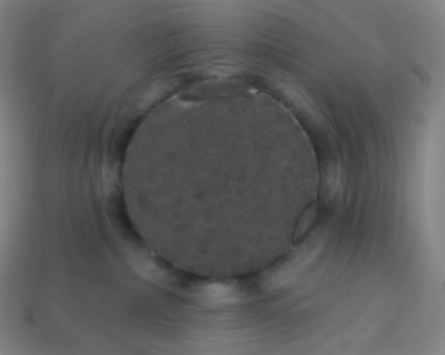 X0000113550236200910091310
