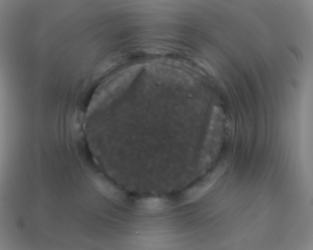 X0000113550237200910091310