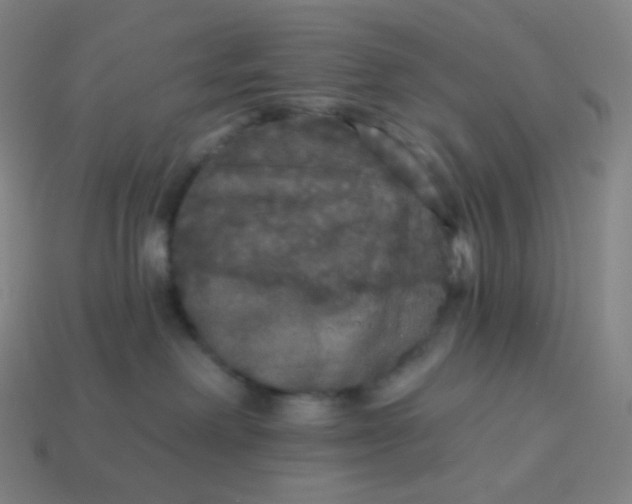 X0000113550238200910091310