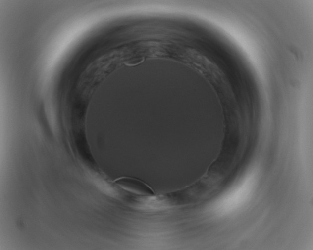X0000113550239200910091310