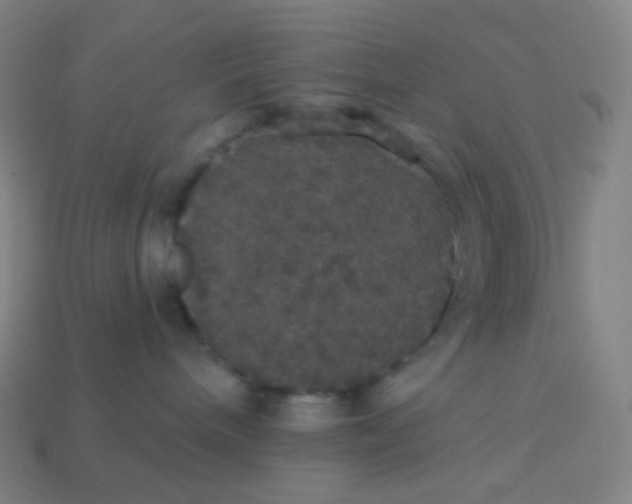X0000113550240200910091310